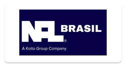 Modelo-Logo-NaldoBrasil